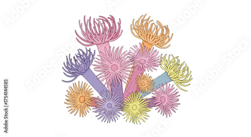 Stylized sea anemone illustration with pastel palette against a clean white background, minimal design, coral reef beauty