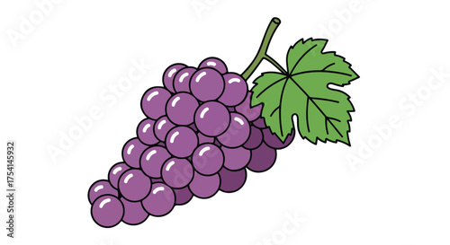 A cartoonish digital rendering showcases a bunch of purple grapes alongside vibrant green leaf, set against a pristine white backdrop