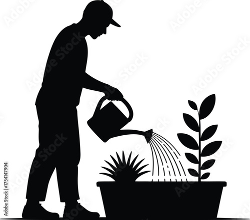 Man watering potted plants in silhouette style gardening and home decor concept