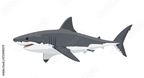 Illustration of a great white shark on a transparent background with vector graphic precision predatory ocean giant apex predator in digital format