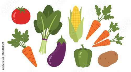 Playful illustration of diverse vibrant cartoon vegetables including tomato spinach and carrots arranged on a white background