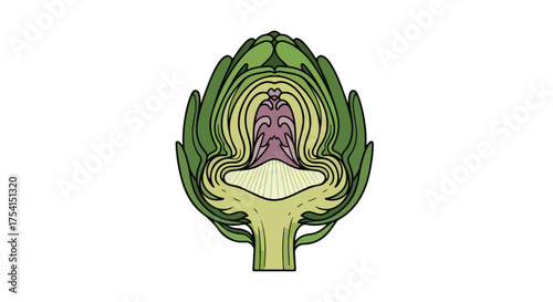 Detailed cross-section illustration of an artichoke with distinct color gradients and stylized botanical rendering on a clean white backdrop