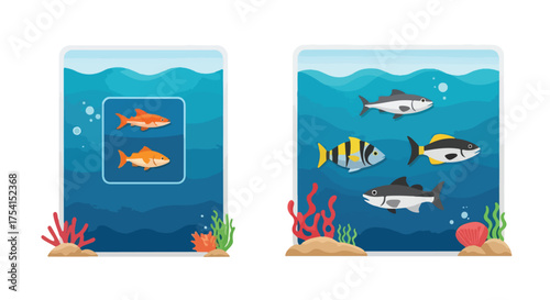 Aquatic life comparison with diverse fish schools and solitary goldfishes, swimming among vivid coral in clear blue waters in cartoon style