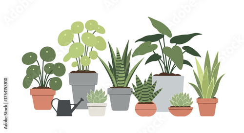 Collection of Potted Houseplants and Watering Can for a Fresh Indoor Aesthetic with Minimalist Design and Earthy Tones