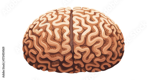 Detailed cartoon illustration depicting the human brain with intricate folds and a clear central division presenting complex neural networks