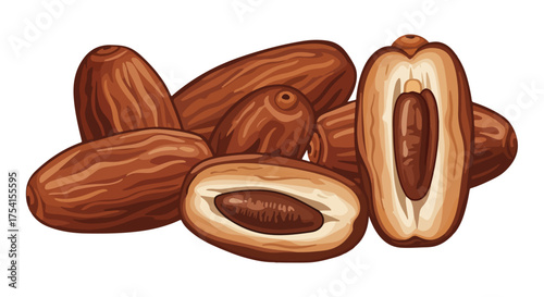 A stack of artistically depicted dates showcasing whole and halved fruits displaying the internal seed structure with detail illustration