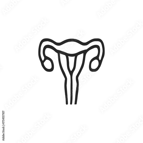 Minimalist illustration of the female reproductive system health and anatomy