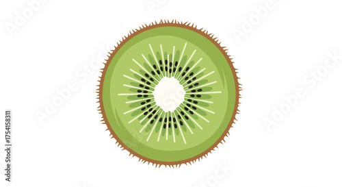Vibrant kiwi fruit slice illustration with intricate seed and pulp details offering a fresh and juicy visual experience
