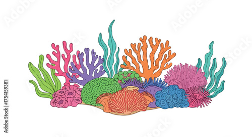 Colorful Underwater Coral Reef Illustration with Various Corals and Seaweed Isolated on White Background