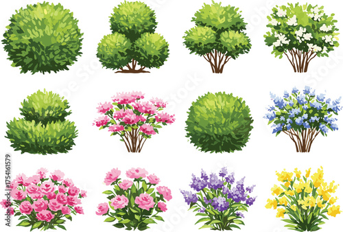 Bush and flowering plant illustrations in twelve cartoon variants, garden foliage set, botanical landscaping concept, nature design elements, white background