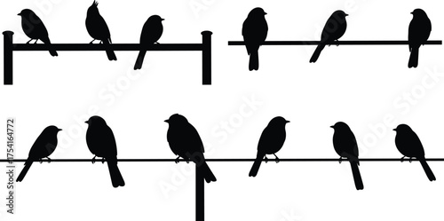 Bird Silhouettes Perched on Poles in Various Arrangements, Highlighting Wildlife Observation, Minimalist Nature, and Vector Illustration Style