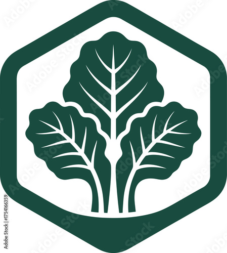 Leafy green vegetables arranged in a geometric hexagon frame silhouette