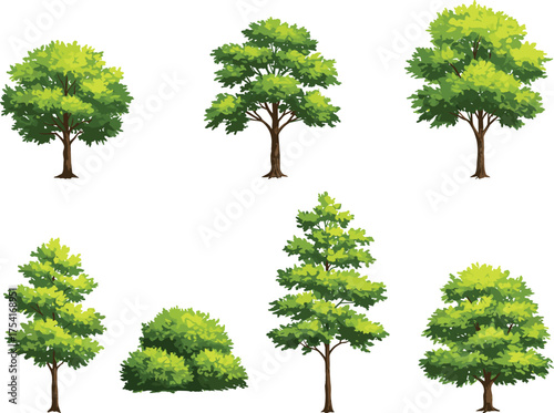 Stylized trees and bush in eight cartoon variants with diverse canopy shapes and foliage styles, botanical landscaping illustration, white background