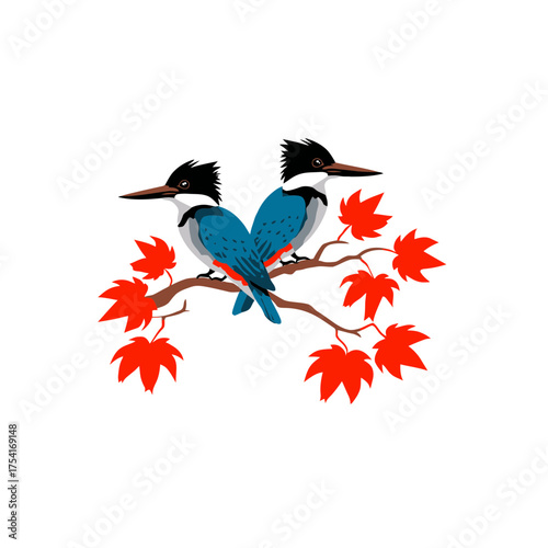 Two vibrant blue kingfisher birds with striking plumage perched on a branch adorned with vivid red autumn maple leaves, a beautiful nature wildlife illustration.