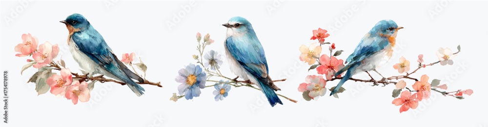 Fotografie Watercolor spring birds set