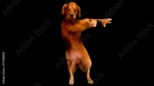 dog dancing animated video 4K animated video . animated in basic color .celebration of dancing animation video . animated icons .

