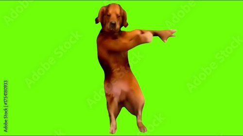 dog dancing animated video 4K animated video . animated in basic color .celebration of dancing animation video . animated icons .

