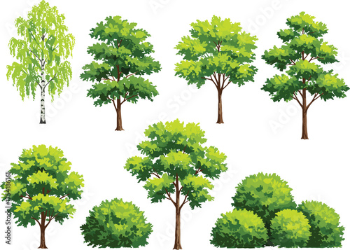 Trees and bushes in eight cartoon variants with diverse canopy shapes and foliage styles, botanical landscaping illustration, white background