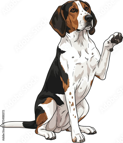 english foxhound dog sitting raising paw interacting pose illustration