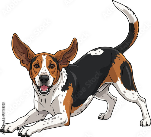 english foxhound dog happy play bow pose vector illustration