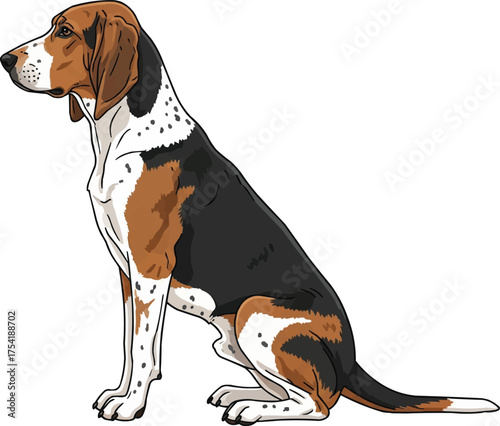 english foxhound dog sitting side profile vector illustration