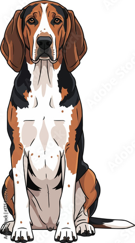 english foxhound dog sitting facing front cute vector illustration