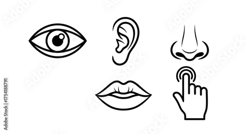 Five human senses icon set. Vector outline symbols for sight, hearing, smell, taste, and touch. Eye, ear, nose, lips, and hand icons. Sensory perception concept illustration.