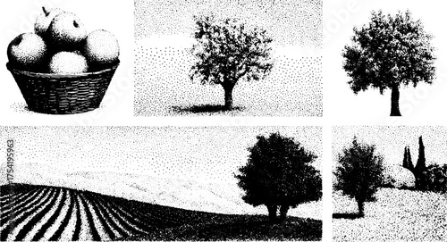 Stylized black and white illustration of apples in a basket and trees in a rural landscape. Set of vector art showcasing agriculture themes.