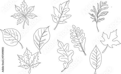Autumn Leaves Doodle Icon Set