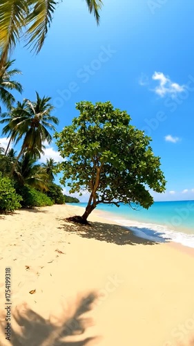 Tropical beach scene with palm trees ocean and sunny sky