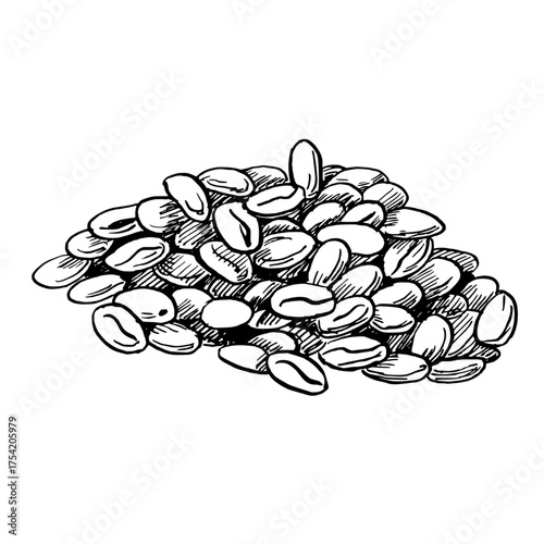 A pile of roasted coffee beans. A realistic coffee-themed vector illustration for product design, interior decor, packaging, posters, postcards, and menus.