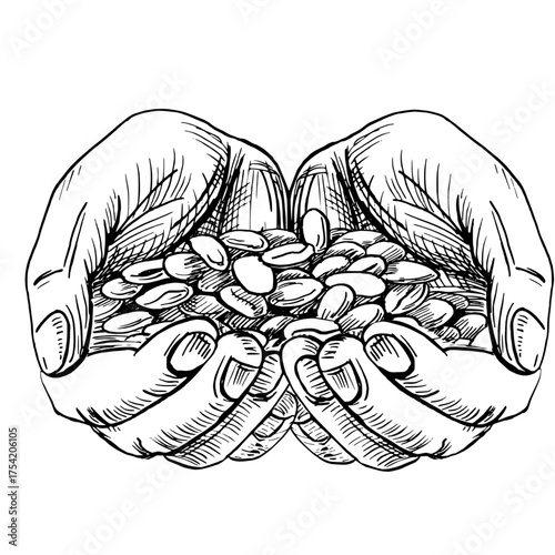 A person's hands holding a handful of roasted coffee beans. A realistic coffee-themed vector illustration for product design, interior decor, packaging, posters, postcards, and menus.