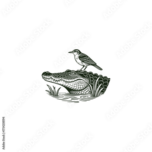 A fascinating and detailed vintage engraving illustration of a small bird perched on the head of an alligator or crocodile in the water. Symbolizes symbiosis, trust, danger, and unique nature concepts
