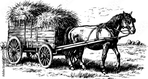 Horse-drawn cart carrying hay in a vintage vector illustration style. Detailed black-and-white set in a rural landscape.