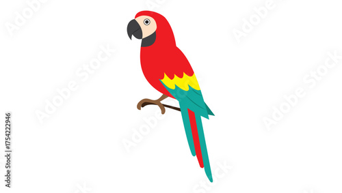 Colorful Parrot Vector – Tropical Exotic Bird Design