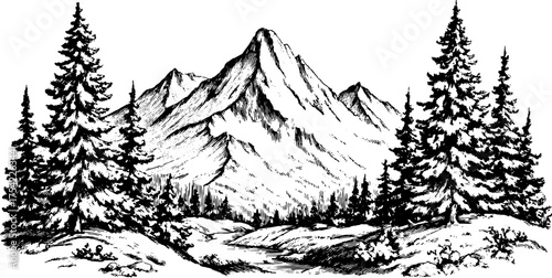 Mountains and trees in a vintage engraving style. Detailed landscape vector illustration showcasing a serene natural setting.