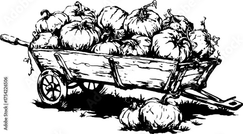 Vintage wheelbarrow filled with pumpkins, detailed line drawing. A classic rural set featuring garden harvest vector illustration.