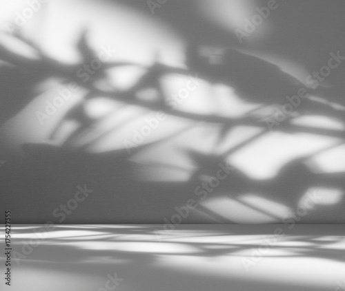 Tableau sur toile Grey wall shadow background kitchen floor white abstract studio concrete table w