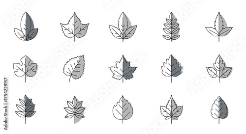 Leaf icon collection. Set of various tree leaves symbols in a modern outline style with shadow. Vector graphic illustration of foliage, plant, and nature elements for design.