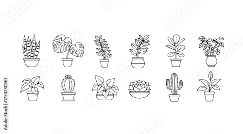 Vector art of houseplant line drawing