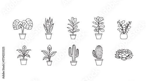 Vector art of potted plants isolated