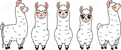 Cute cartoon white llama or alpaca vector set with different expressions isolated on white background