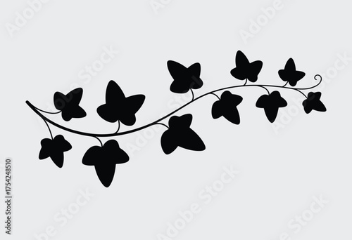 Decorative black ivy vine branch silhouette illustration scalable vector graphic eps format botanical plant outline element for creative designs silhouette vector illustration white background