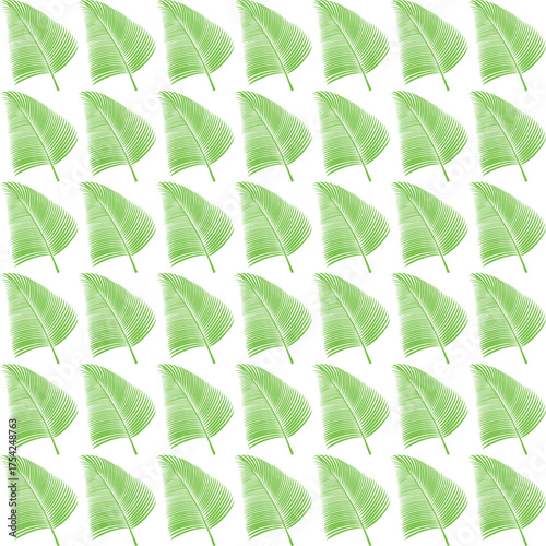 A vibrant green leaf with bold veins, exuding freshness and tranquility. Perfect for designs that evoke a natural, calm, and refreshing atmosphere.