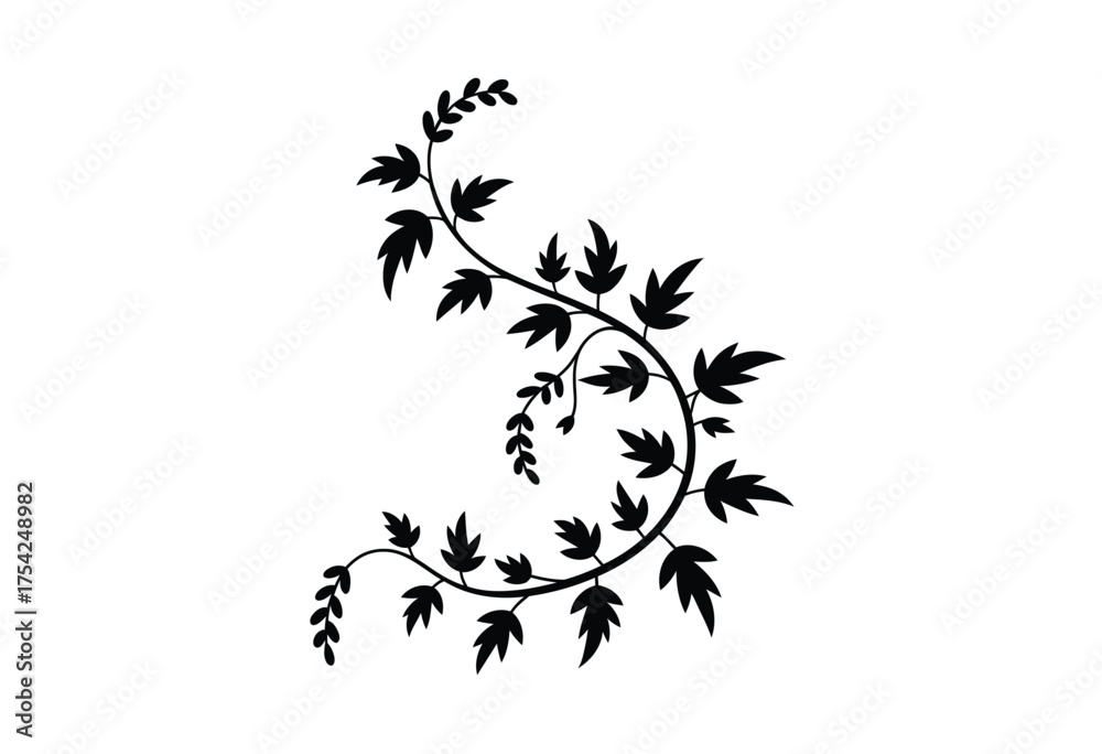 Obraz premium Elegant black swirling vine illustration delicate leaves decorative floral element vector graphic design ornament scalable eps image silhouette vector illustration white background