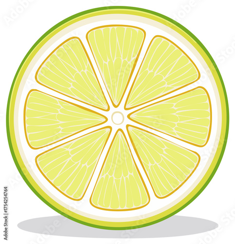 Vibrant green lime fruit cross section illustration with juicy yellow segments