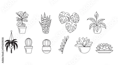 Vector art of houseplant isolated