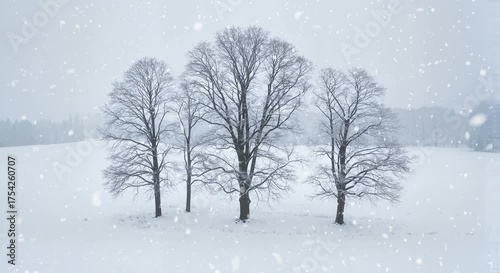 Four bare trees standing in snow during winter snowfall  
