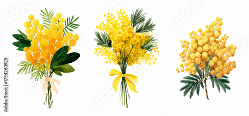 Watercolor painting of yellow mimosa bouquets. Blooming spring flowers on isolated background. Yellow spring flowers. Botanical elements for decoration. Vector illustration.
