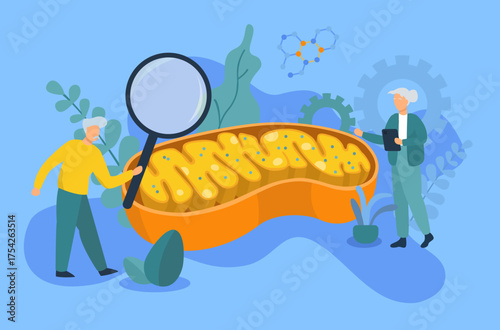 longevity concept: elderly couple studying about mitochondria 